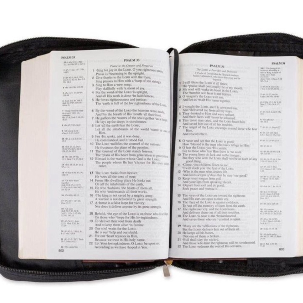 NEW 
Bible organizer - Picture 3 of 6